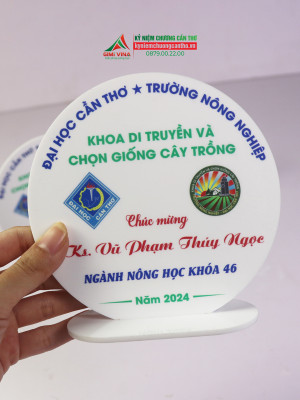 Kỷ niệm chương mica MC01