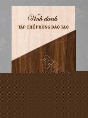 Kỷ niệm chương gỗ KNCG-23 quà tặng vinh danh cao cấp
