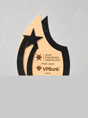 Kỷ niệm chương gỗ vinh danh kết hợp Acrylic KNCG-17
