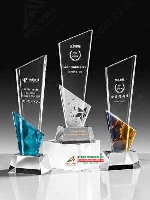 Kỷ niệm chương thuỷ tinh đầu vát - TT99