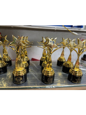 Cúp kim loại - KL208