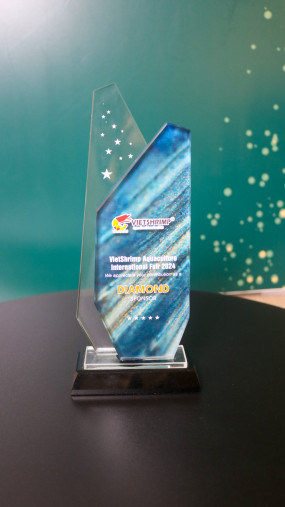 Kỷ niệm chương Cần Thơ sản xuất mẫu #kyniemchuong pha lê PL315 cao cấp • Gimi #awards