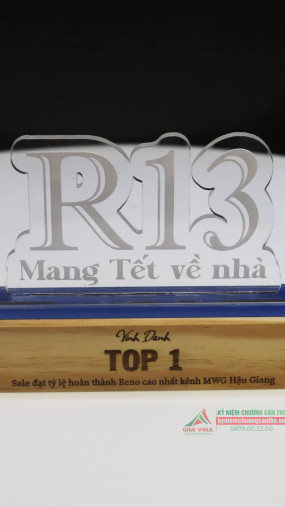 Kỷ niệm chương gỗ GM16 - Gỗ thông và Acrylic cao cấp 