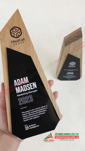 Kỷ niệm chương gỗ thông cao cấp GM08 